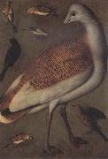 Ludger tom Ring Great Bustard Cock oil painting artist
